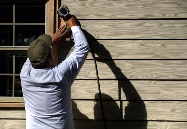 Affordable Siding Repair and Maintenance Services in St Joseph, IL